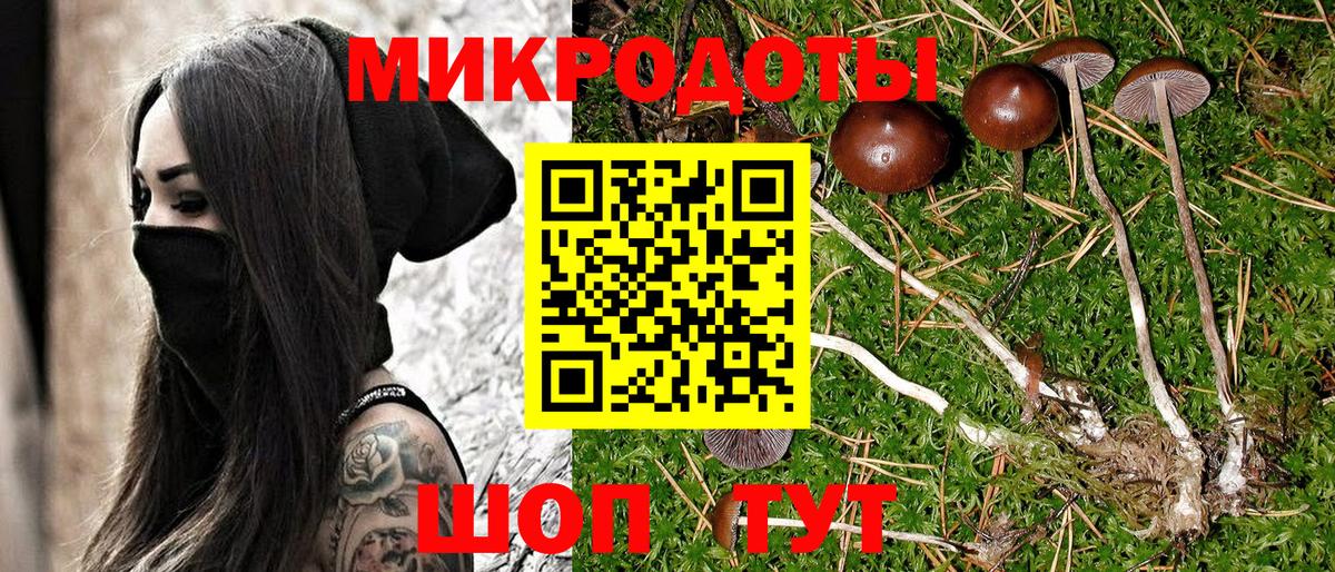 Галлюциногенные грибы прущие грибы  Вход с VPN  Славянск-на-Кубани 