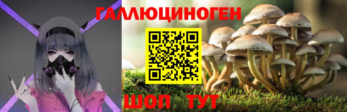 МЕФ   ГАШИШ  Канабис  Лсд 25  Славянск-на-Кубани  Кокаин  Вход с VPN 